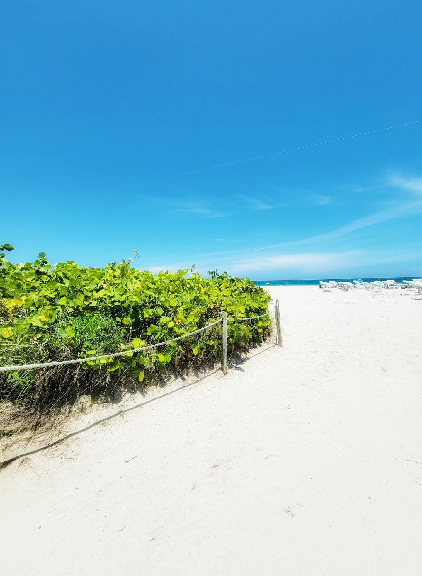 Sandy path through the sea-grape dunes — down the elevator and through the garden, this is the way to the beach